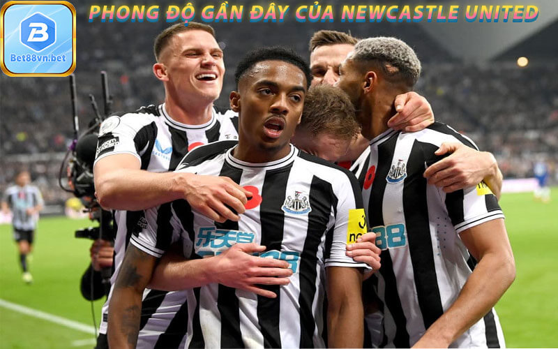 Phong độ gần đây của Newcastle United